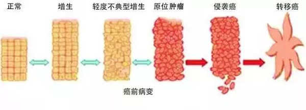 圖片1.jpg